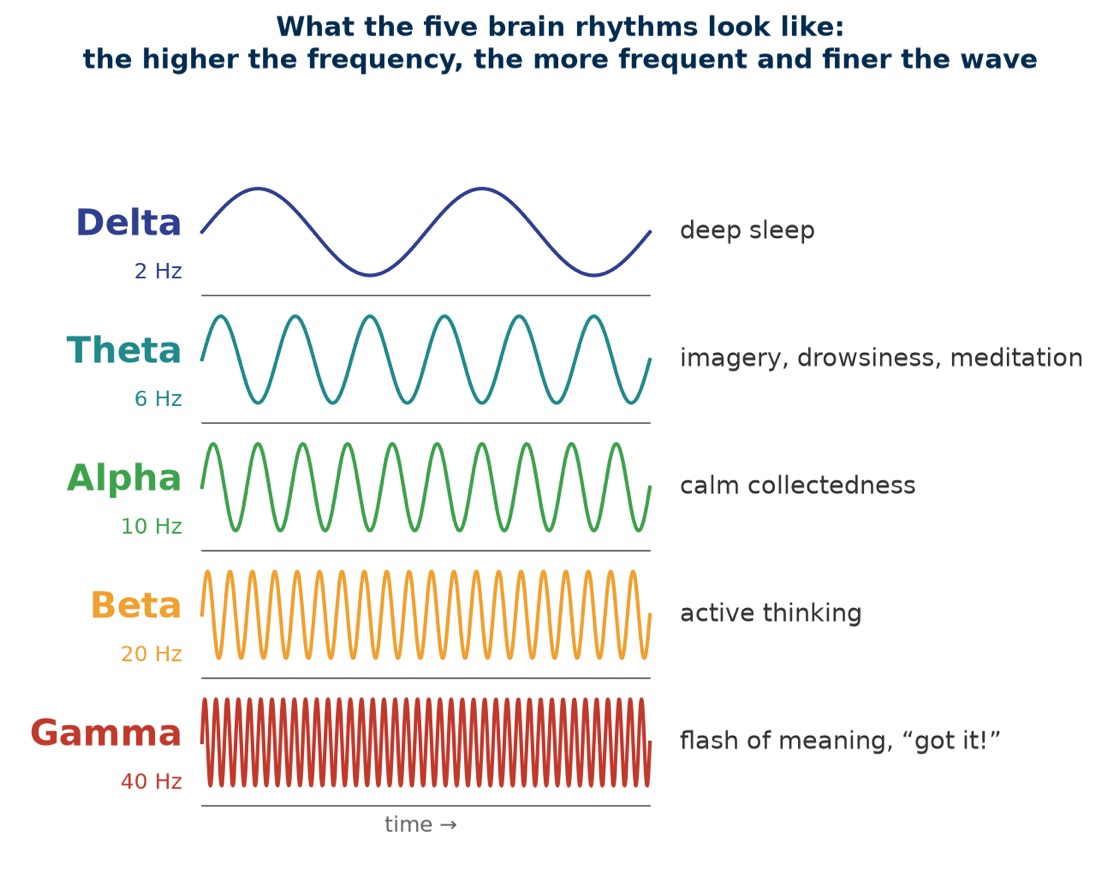 What the five brain rhythms look like