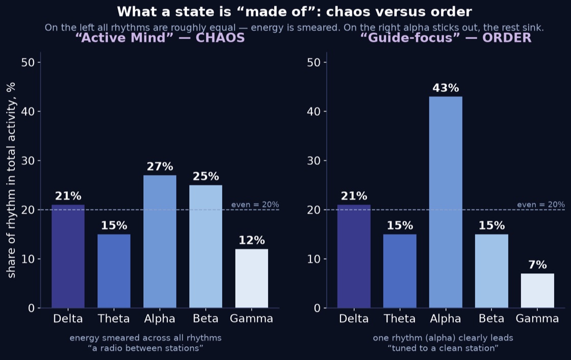 Active Mind — chaos versus Guide-focus — order